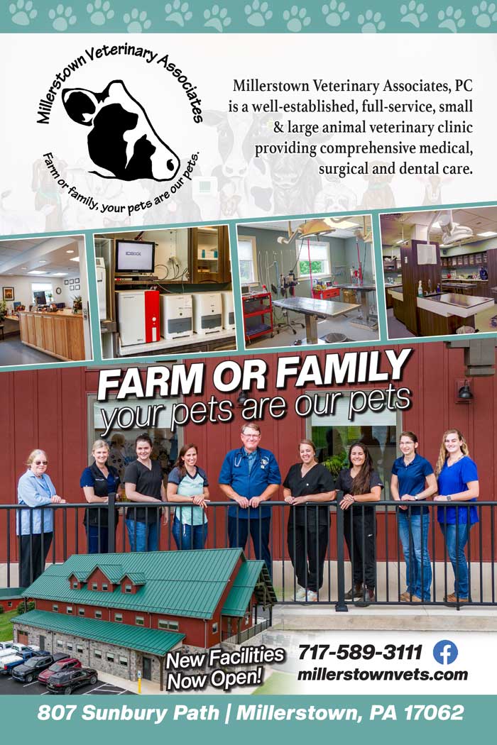 Millerstown Veterinary Associates <center>Millerstown Veterinary Associates | <b><a href="https://www.millerstownvets.com/" target="_blank" rel="noopener noreferrer">CLICK HERE to view the website</a></b></center>